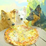 【ペット連れOK】中野のドッグカフェ＆テラス席がある店まとめ【2025年版】